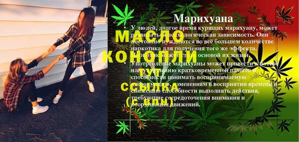 мдпв Чегем