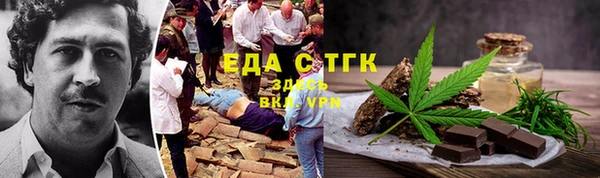 дживик Козельск