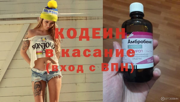 дживик Козельск