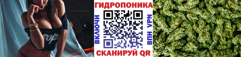 Купить закладки  Красавино  МАРИХУАНА White Widow 